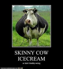 skinny cow ice cream