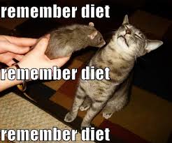 cat-remember diet