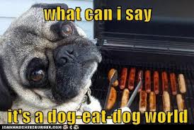 dog eat dog world
