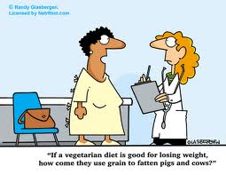 vegetarian diet:grain to fatten