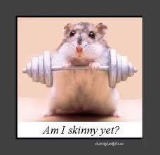 am i skinny yet